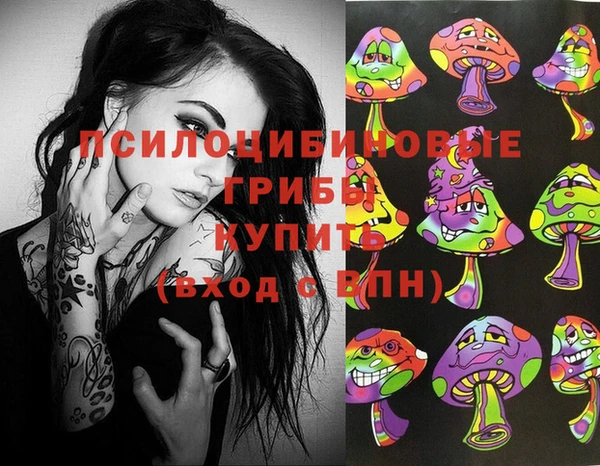 соль ск Балахна